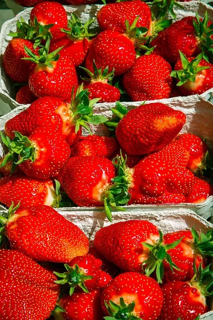 Strawberry Rosin Gummies