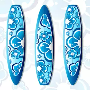 surfboard-for-beginners-640x480-78291349.png