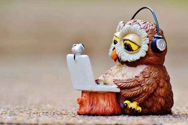 technical-seo-640x480-95708132.jpeg