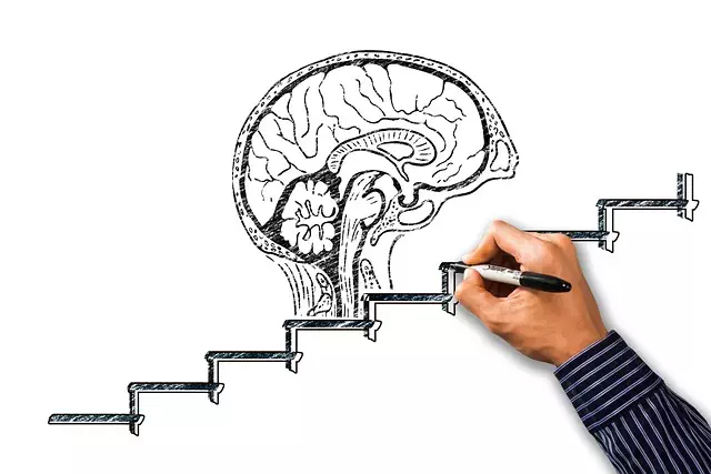 Technical SEO Training