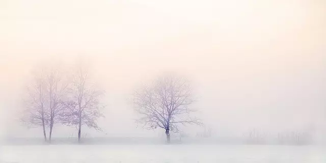 Thigh and Arm Fat Freezing