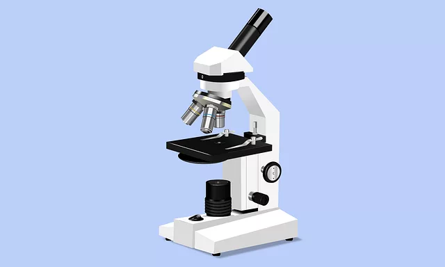 advanced-keyword-research-640x480-35496201.png