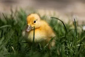 affordable-small-business-insurance-640x480-65833367.jpeg