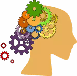 best-seo-services-for-small-businesses-640x480-8015409.png