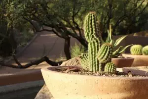 bodify-arizona-640x480-46061873.jpeg