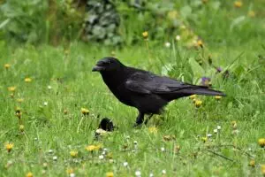 botox-for-crows-feet-and-smile-lines-640x480-47527502.jpeg