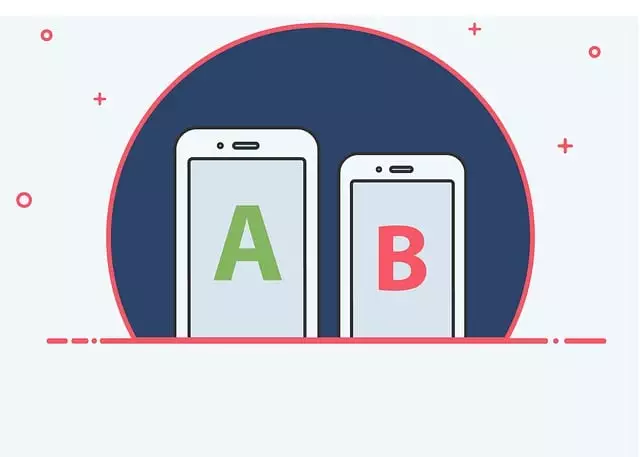 Budget-Friendly SEO Training