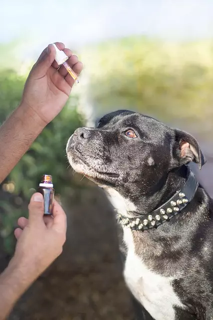 CBD Vape Cartridge