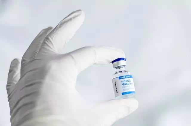 CoolSculpting Treatment for Belly Fat