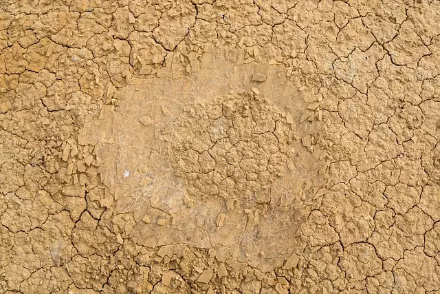 Crack Repair
