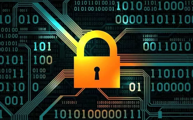 Cyber Insurance for Data Protection