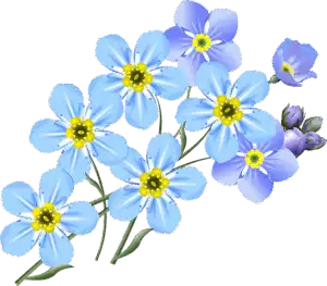 delta-8-thc-near-me-640x480-97651454.png