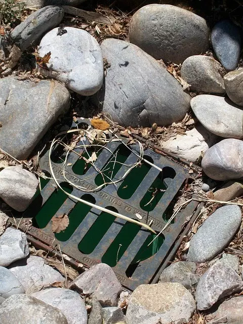 Drain Cleaning