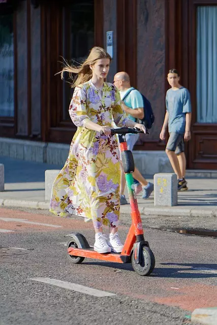 electric scooters for adults