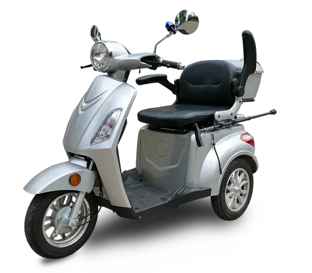 electric scooters for adults