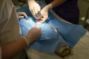 expert-botox-injections-640x480-16884163.jpeg