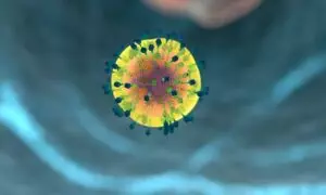 fat-cell-freezing-640x480-5761672.jpeg