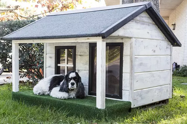 heated dog house