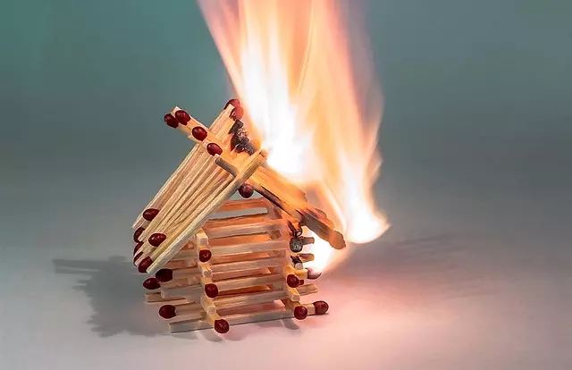 heated dog house