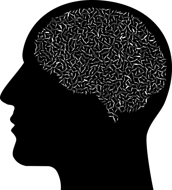 holistic mental health