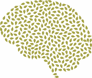 holistic-mental-health-640x480-43943417.png