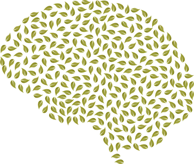 holistic-mental-health-640x480-43943417.png