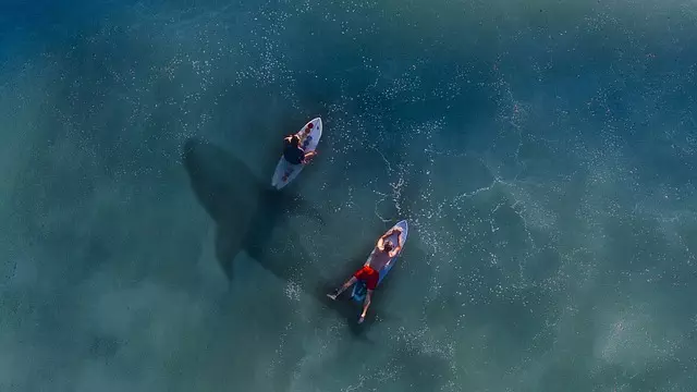 inflatable paddle board