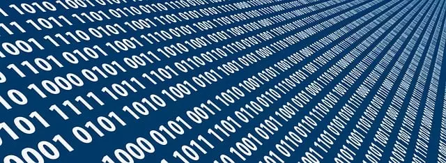 latest web design trends