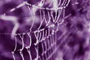 latest-web-design-trends-640x480-68821661.jpeg