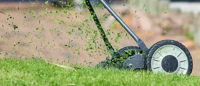 Lawn Care