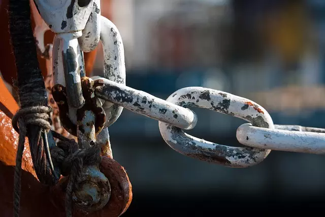 Link Building