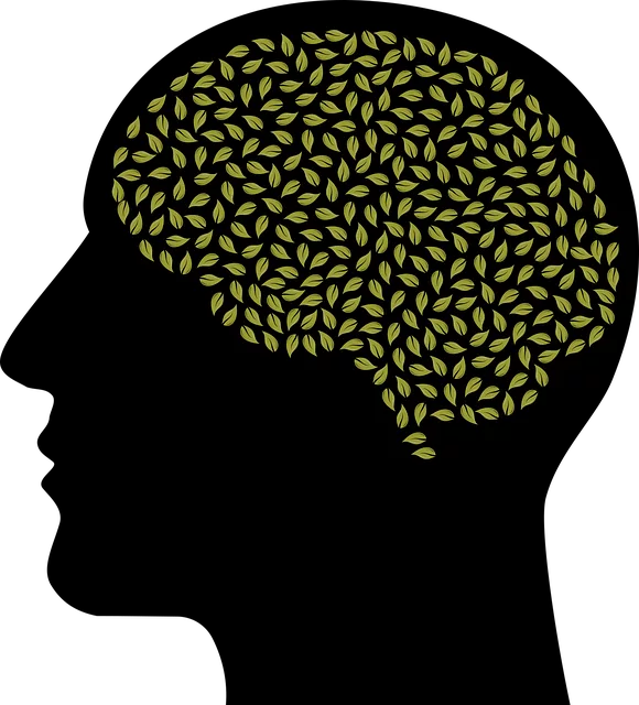 mental health counseling