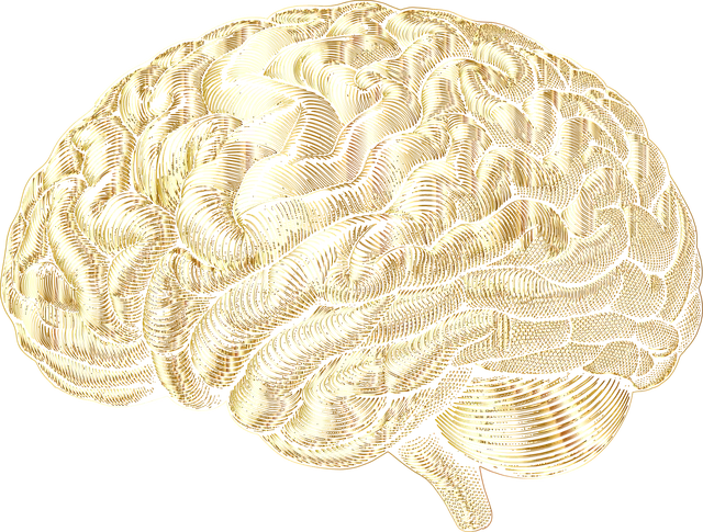 mental health psychotherapy