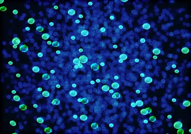 Morpheus 8 Clinics