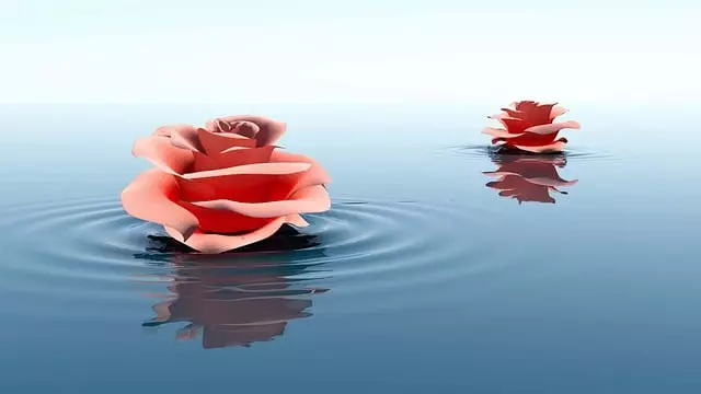 Non-Surgical Spa