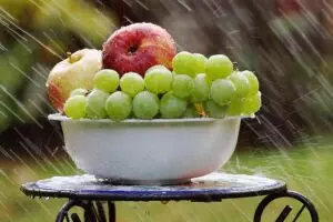 organic-traffic-640x480-73788513.jpeg