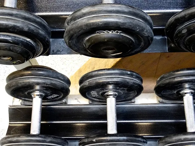 Rybelsus weight management