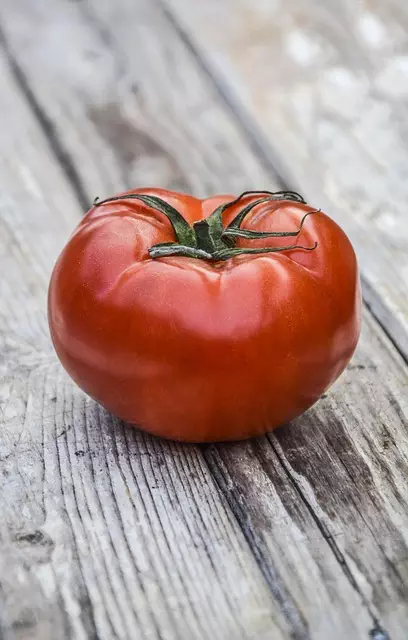 semaglutide diet program