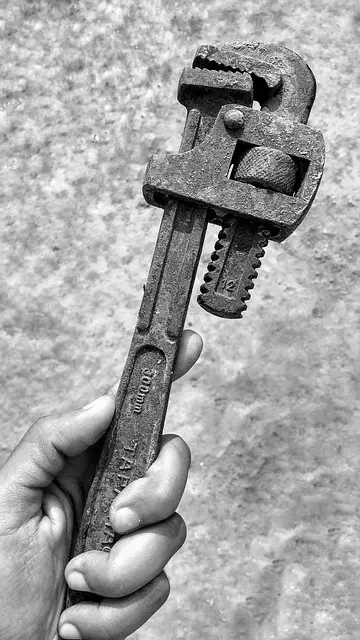 SEO Tools for Tracking