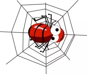small-business-web-designers-640x480-8330168.jpeg