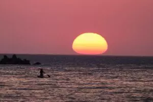 surfboard-for-beginners-640x480-26604476.jpeg