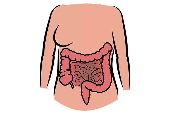 Understanding the Endocannabinoid System