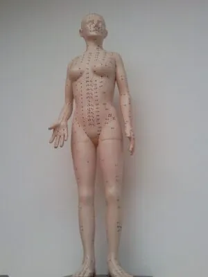 acupuncture-for-pain-640x480-67788550.jpeg
