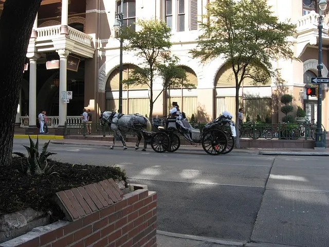 acupuncture near downtown Austin