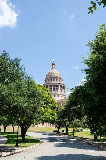 acupuncture near downtown Austin