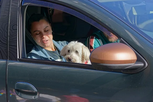 Affordable Car Insurance for New Drivers