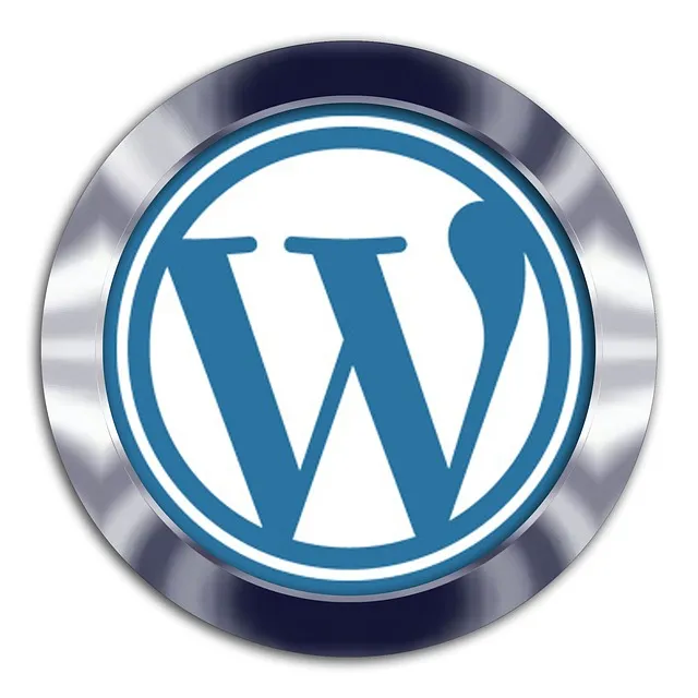 affordable website development