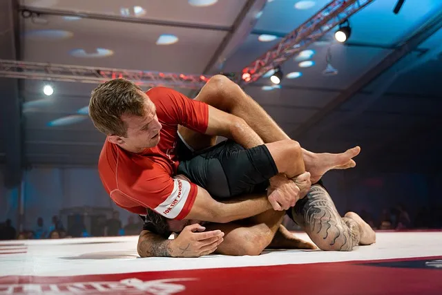 BJJ transitions AZ