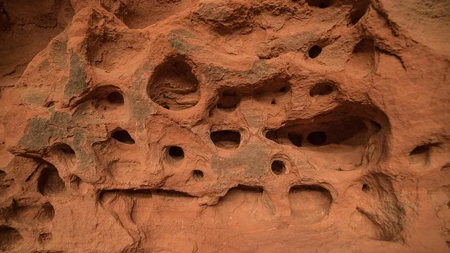 Bodify Arizona