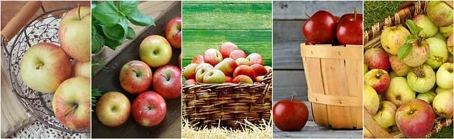 buy weight loss drugs online